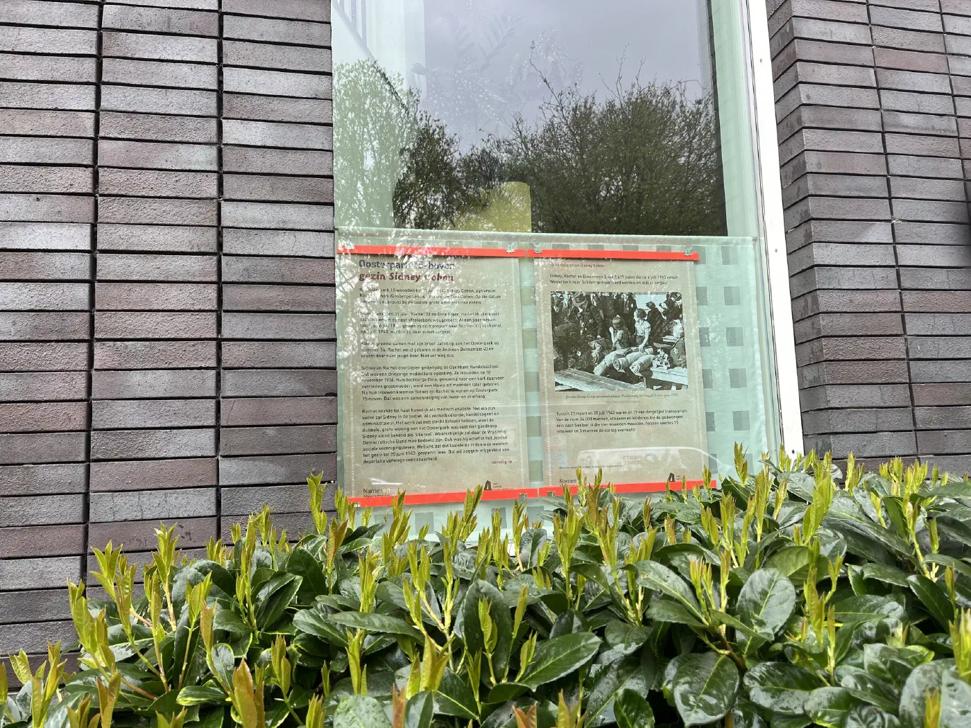 Gedenkposter over gezin Sidney Cohen achter een raam aan het Oosterpark, boven een heg