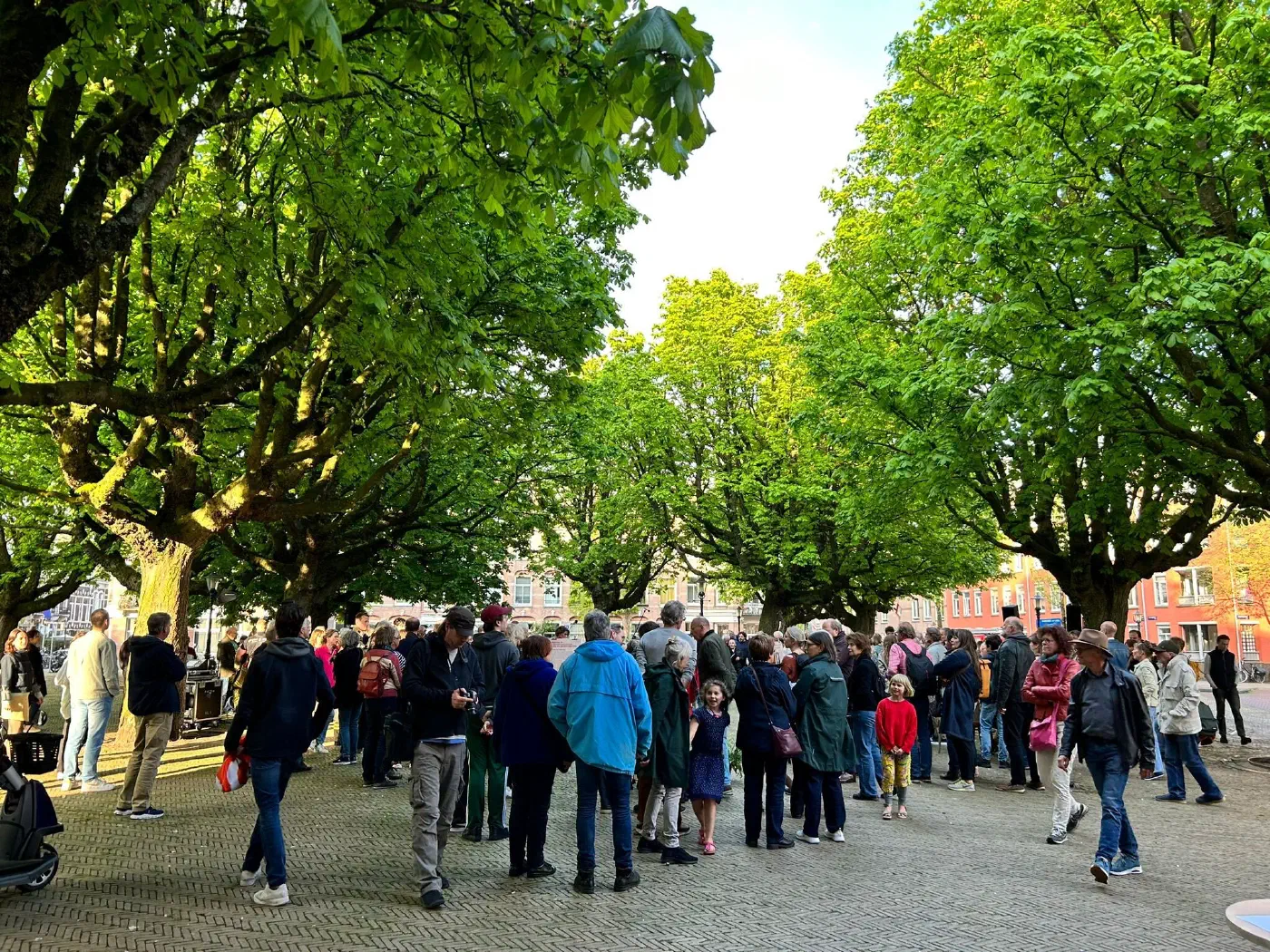 Buurtbewoners verzamelen zich onder de kastanjebomen op het Kastanjeplein