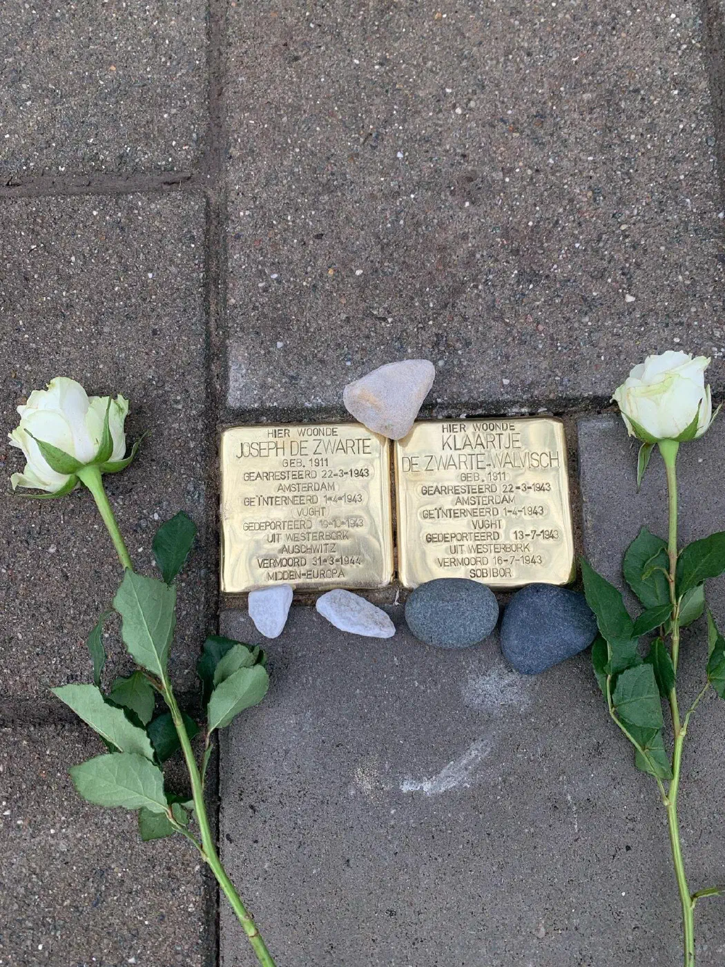 Struikelstenen voor Joseph de Zwarte en Klaartje de Zwarte-Walvisch met witte rozen en steentjes